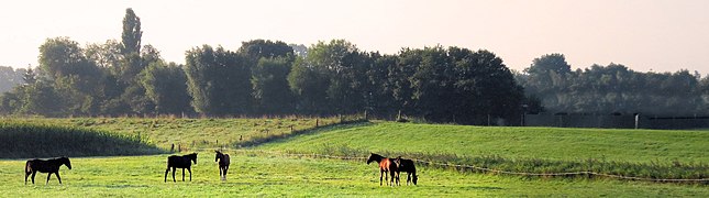 Paysage près de Putten.