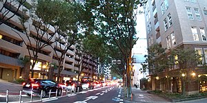 国体道路（「けやき通り」、警固689号線の東側、左：赤坂、右：警固）