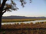 A view of a vegetated plain, with a river flowing in the foreground alongside it.