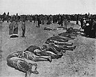 Тела казнённых во время «варфоломеевских ночей» в Евпатории, выброшенные на берег летом 1918 года