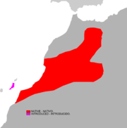 Aire de répartition de l'Écureuil de Barbarie