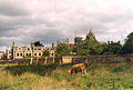 Peterhouse et les jardins, vus depuis Coe Fen