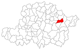 Location in Arad County