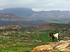 Az Etióp-magasföld egy részlete, háttérben a Ras Dashan