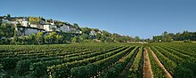 Vignobles et maisons troglodytiques le long de la route D 947.