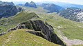 Prutaš, Durmitor