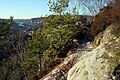 auf dem Gipfel des Gamrig, im Hintergrund ist das Elbtal zwischen Rathen und Stadt Wehlen zu erkennen