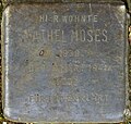 Stolperstein für Mathel Moses (Hardefuststraße 8)