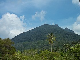 Le mont Ranai, point culminant des îles Natuna (1 035 m).