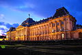 Vue sur le palais de nuit