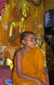 Fiatal indiai szerzetes.