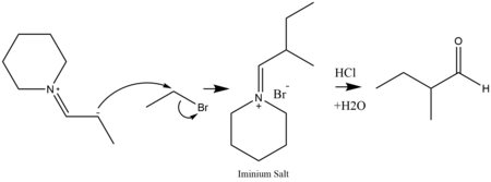 Alkylation of an enamine and a dehydration to form a ketone.