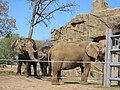 Former elephant exhibit