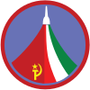 Insigne de la mission