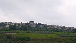 Mozzagrogna