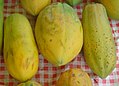 Zreli plodovi papaje