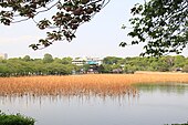 Lago Shinobazu