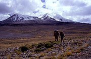 Coropuna, main summit on the left, Kasulla on the right.