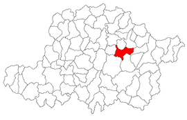 Location in Arad County