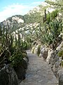 Een gedeelte van de Botanische Tuin in Monte Carlo.