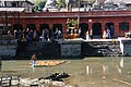 Pashupatinath