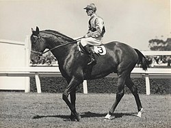 High Caste, 1941 winner