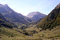 Pâturages d'estive en vallée d'Ossau.