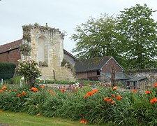 Ruines de la chapelle de la Madeleine