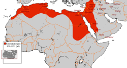 Фатимидски халифат 909 - 1171 г.