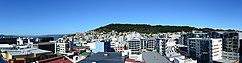 Te Aro and the city centre