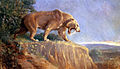 Smilodon von Charles R. Knight (1909). Öl auf Leinwand, ca. 18 × 30 Zoll. American Museum of Natural History