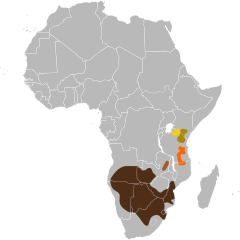 Distribuição do gnu-de-cauda-preta (subespécies)