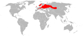 Euroopanmajavan levinneisyys