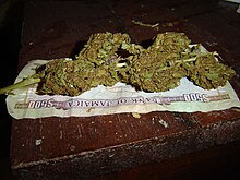 Sativa jamaïcaine