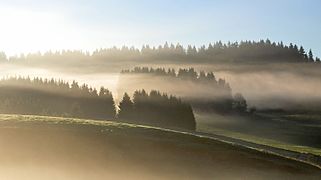 Brumes matinales à Reculfoz.