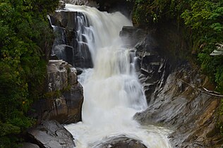 Salto de la Sabina narda