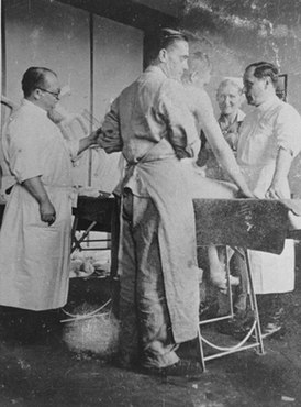 Хорст Шуман (сзади справа) и Карл Клауберг (слева) во время операции в концлагере Освенцим.