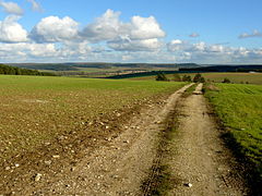 Paysage de Haute-Marne, à proximité de Laferté-sur-Aube à l'ouest.