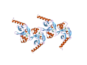 1zkk: Crystal structure of hSET8 in ternary complex with H4 peptide (16-24) and AdoHcy