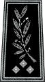 Inspecteur général (Ispettore generale)