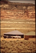 Examples of Navajo hogans