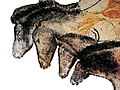 Drawing of horses in Chauvet cave