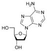 structure chimique de la désoxyadénosine