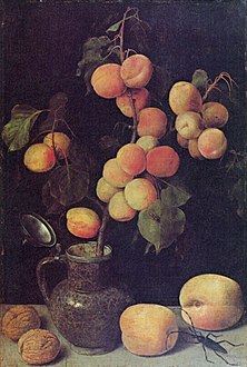 Branche d'abricotier (1630-1639) Musée régional de la Hesse