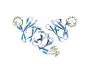 1z0n: the glycogen-binding domain of the AMP-activated protein kinase