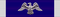 Medaglia presidenziale della libertà (Stati Uniti) - nastrino per uniforme ordinaria