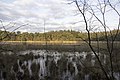 Nature near Beetsterzwaag