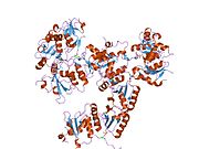 1t2v: اساس ساختاری شناسایی فسفوپپتید توسط دومین بی‌آرسی‌تی در پروتئین BRCA1: ساختار آن با فسفوپپتید