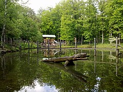 Wildpark an den Eichen im Sommer...