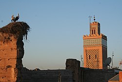 Minareti e cicogne a Marrakech